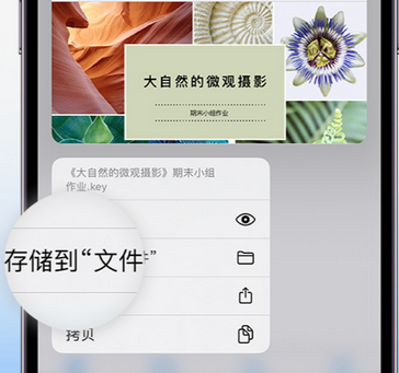 畜禽良种场apple维修中心分享iPhone文件应用中存储和找到下载文件