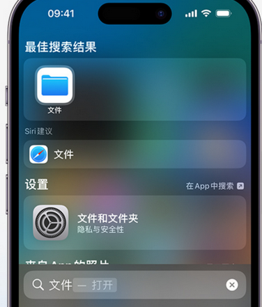 畜禽良种场apple维修中心分享iPhone文件应用中存储和找到下载文件 