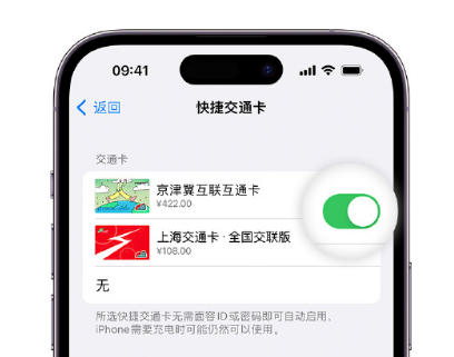 畜禽良种场apple维修点分享iPhone上更换Apple Pay快捷交通卡手绘卡面 