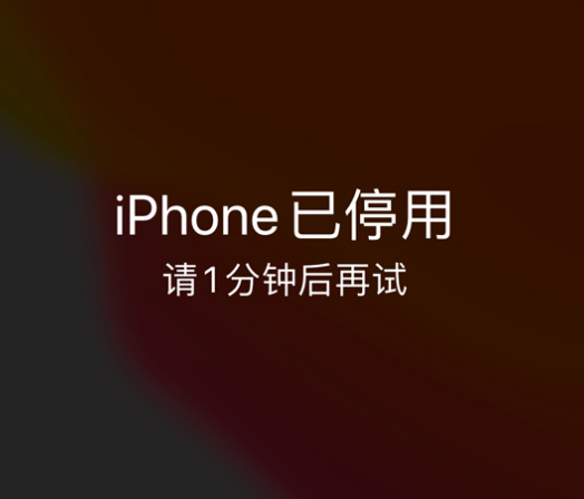 畜禽良种场苹果手机维修分享:iPhone 显示“不可用”或“已停用”怎么办？还能保留数据吗？ 