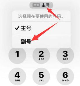 畜禽良种场苹果14维修店分享iPhone 14 Pro Max使用副卡打电话的方法 