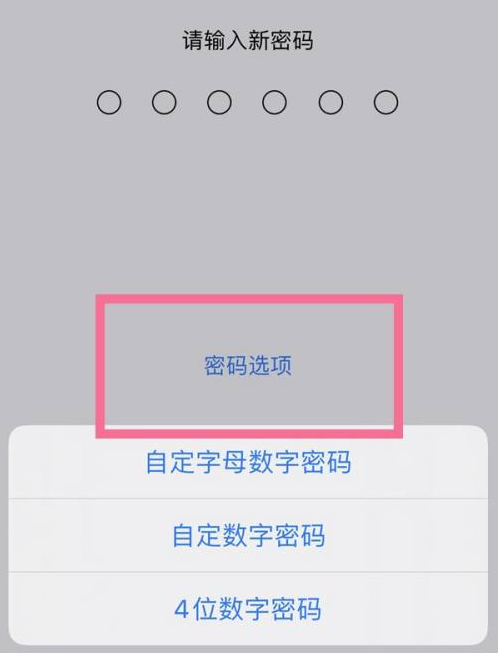 畜禽良种场苹果14维修分享iPhone 14plus设置密码的方法 