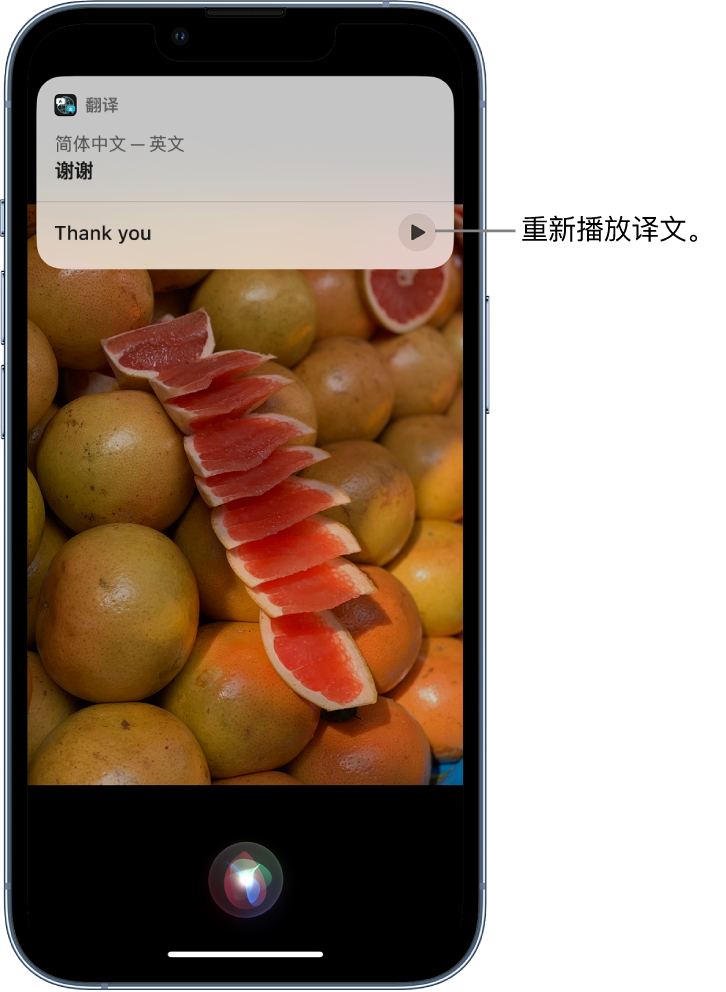 畜禽良种场苹果14维修分享 iPhone 14 机型中使用 Siri：了解 Siri 能帮你做什么 