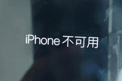 畜禽良种场苹果服务网点分享锁屏界面显示“iPhone 不可用”如何解决 